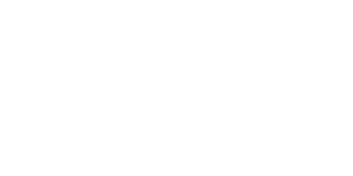 Litoplan Logo
